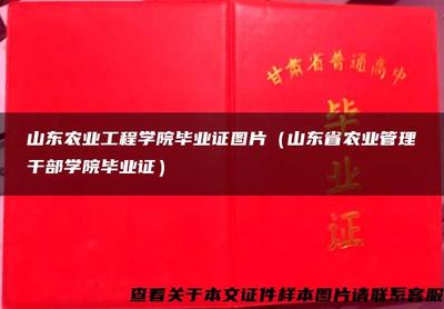 山東農業(yè)工程學院畢業(yè)證 見證轉型與成長的文化符號